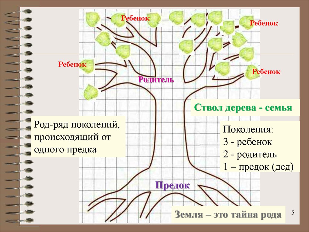 Схема какой род. Генетическое дерево. Родословное дерево. Дерево жизни генеалогическое. Родословная в виде дерева.