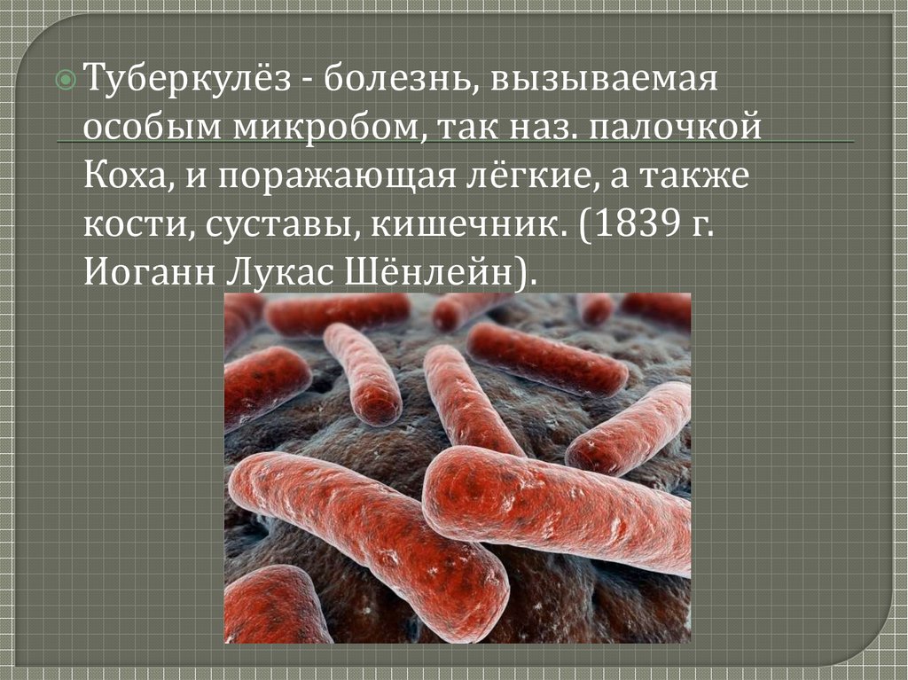 Какой тип питания характерен для палочки коха изображенной на рисунке обоснуйте свой ответ