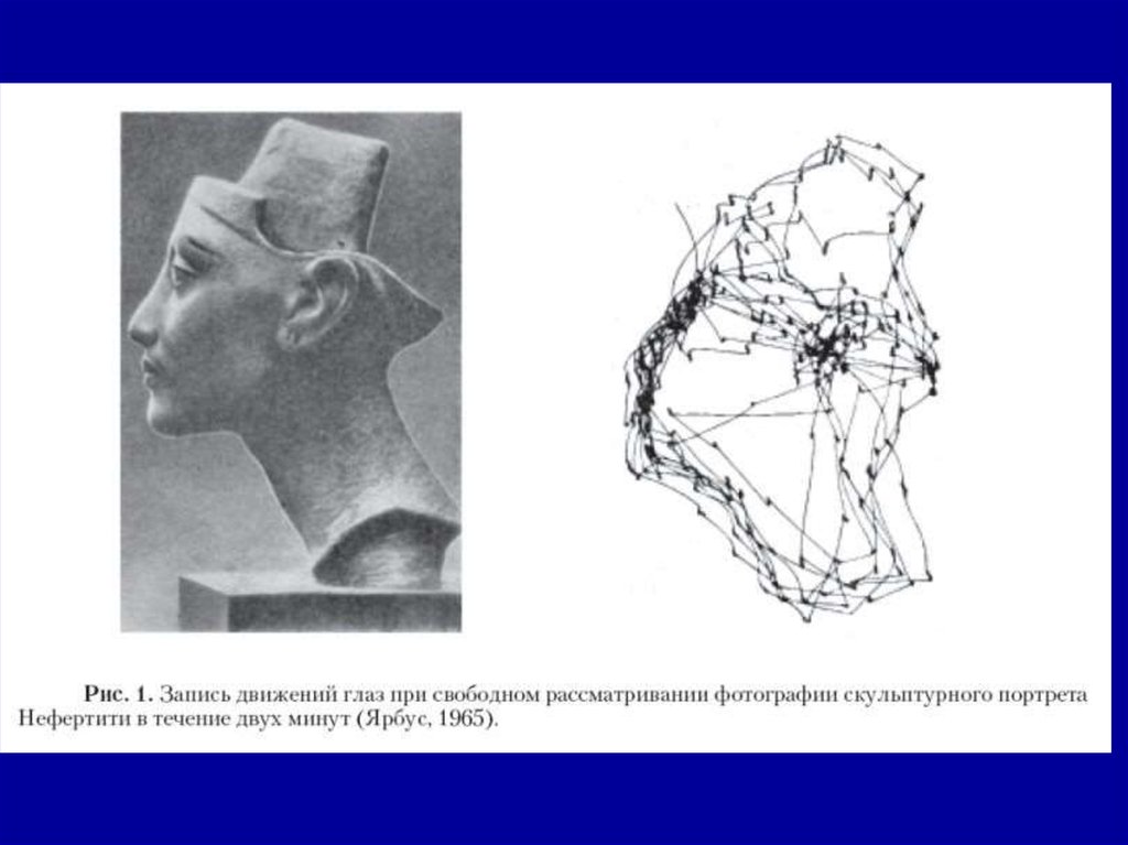 Движение взгляда. Ярбус Альфред Лукьянович. Нефертити движение глаза. Альфред ярбус эксперимент. Движение глаза при рассматривании.
