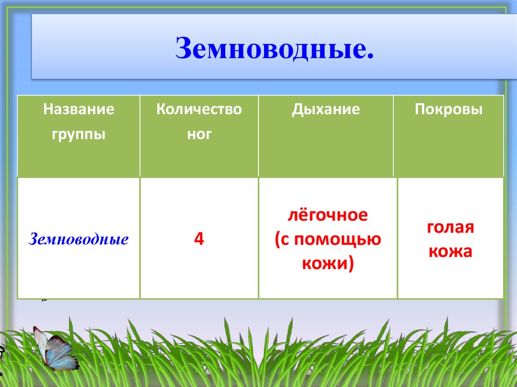 Покровы земноводных 7 класс