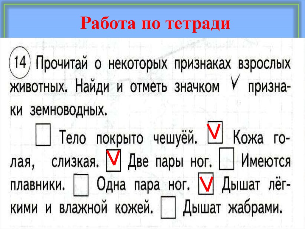 Работа по тетради