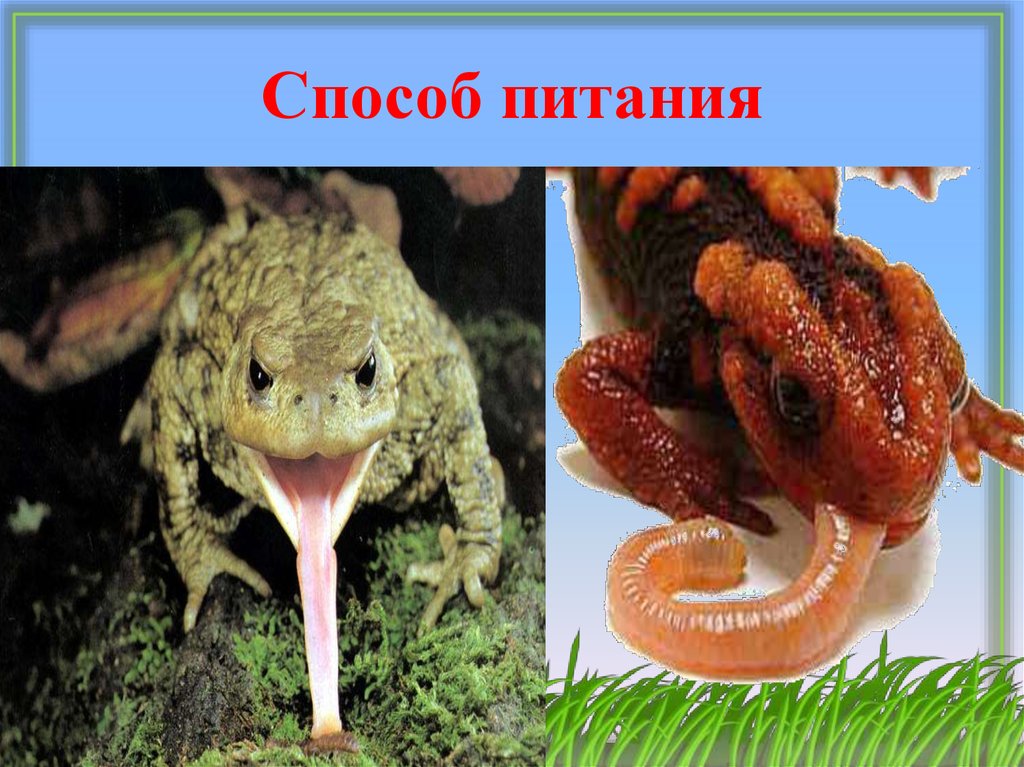 Способ питания