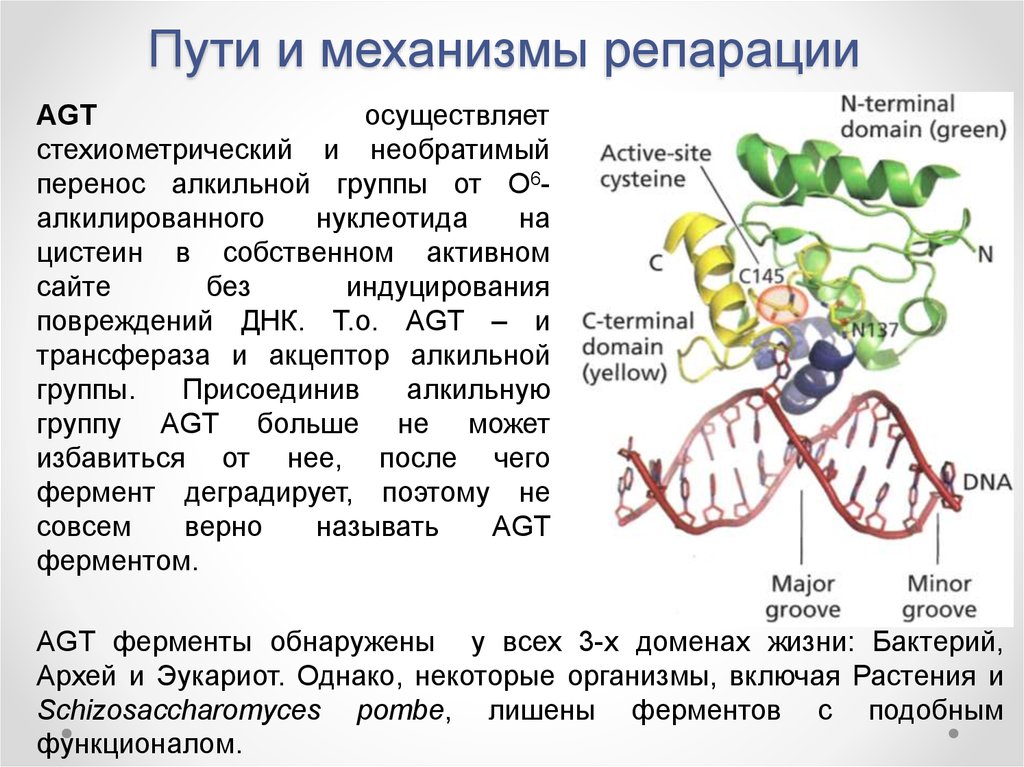 Источник взимания репараций по плану юнга