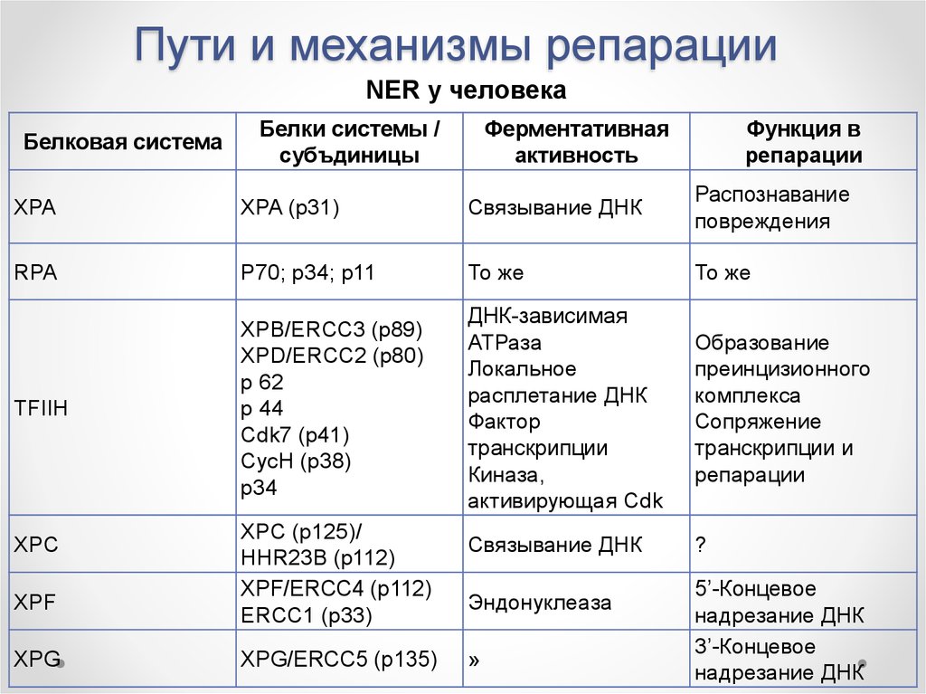 Источник взимания репараций по плану юнга