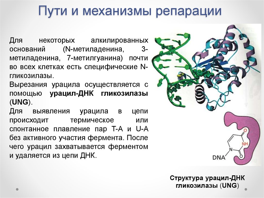 Источник взимания репараций по плану юнга