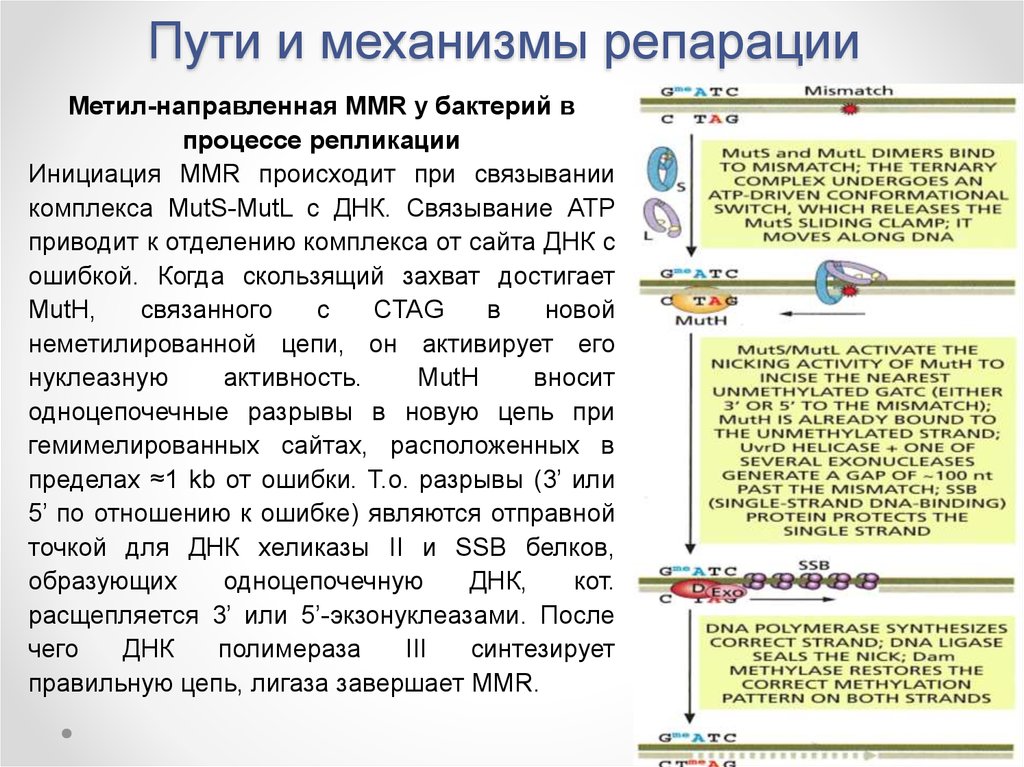 Источник взимания репараций по плану юнга