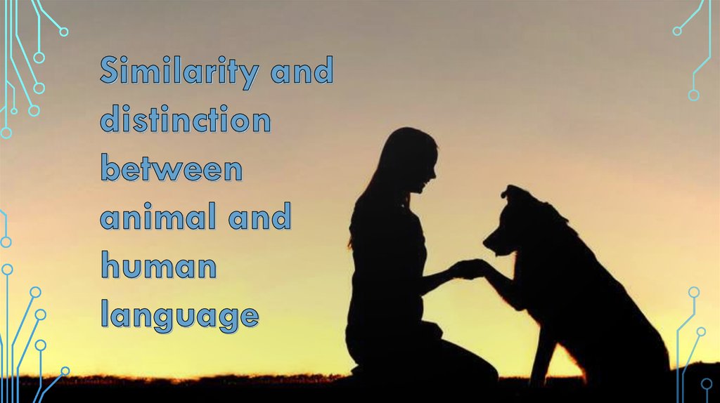 human-language-vs-animal-communication-system-online-presentation