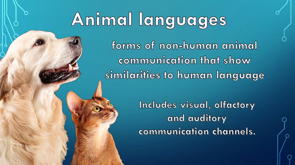 importance of animal communication essay