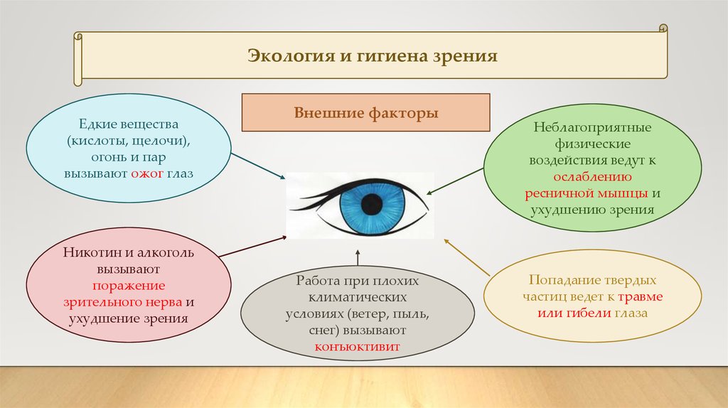 Орган зрения заболевания и профилактика презентация