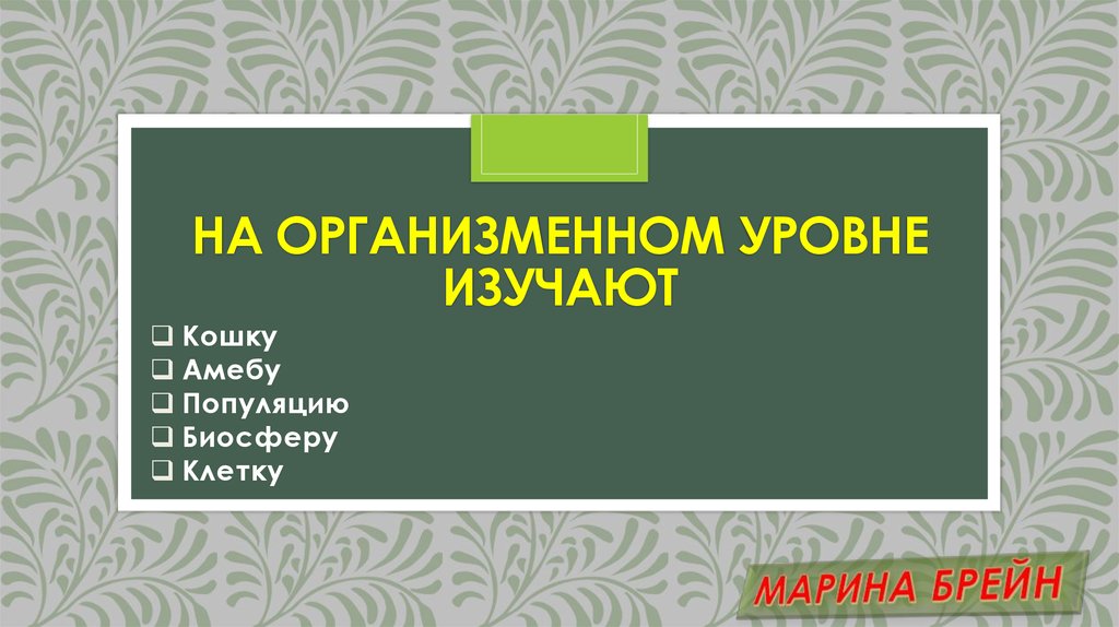 На организменном уровне изучают