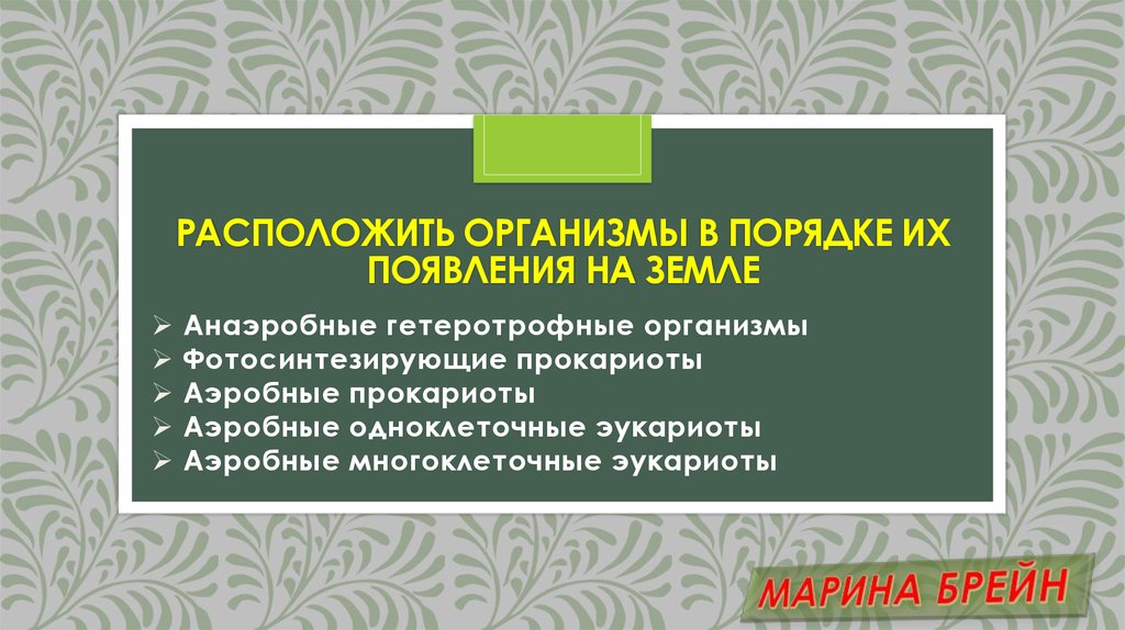 Расположить организмы в порядке их появления на земле