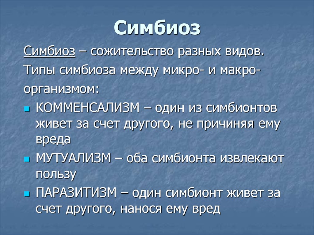 Симбиоз между. Симбиоз это в экологии. Что такое симбиоз кратко. Симбионт это в экологии. Симбиоз это полезное сожительство.