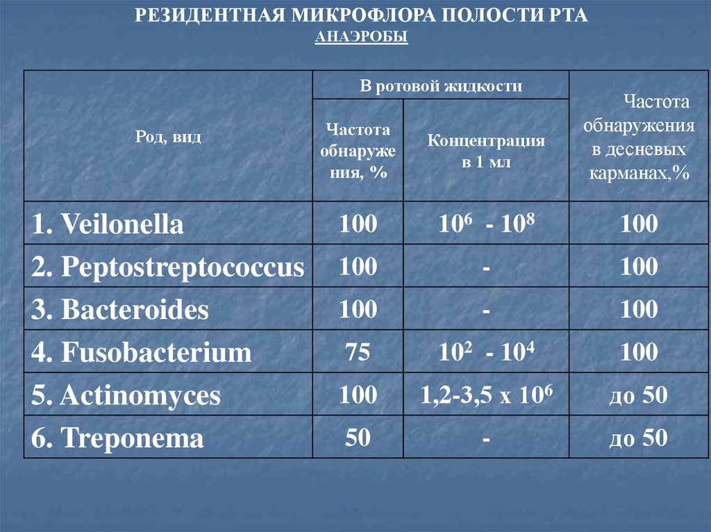 Микрофлора полости. Резидентная микрофлора полости рта. Флора полости рта в норме и патологии. Облигатная микрофлора ротовой полости. Микрофлора полости рта анаэробы.