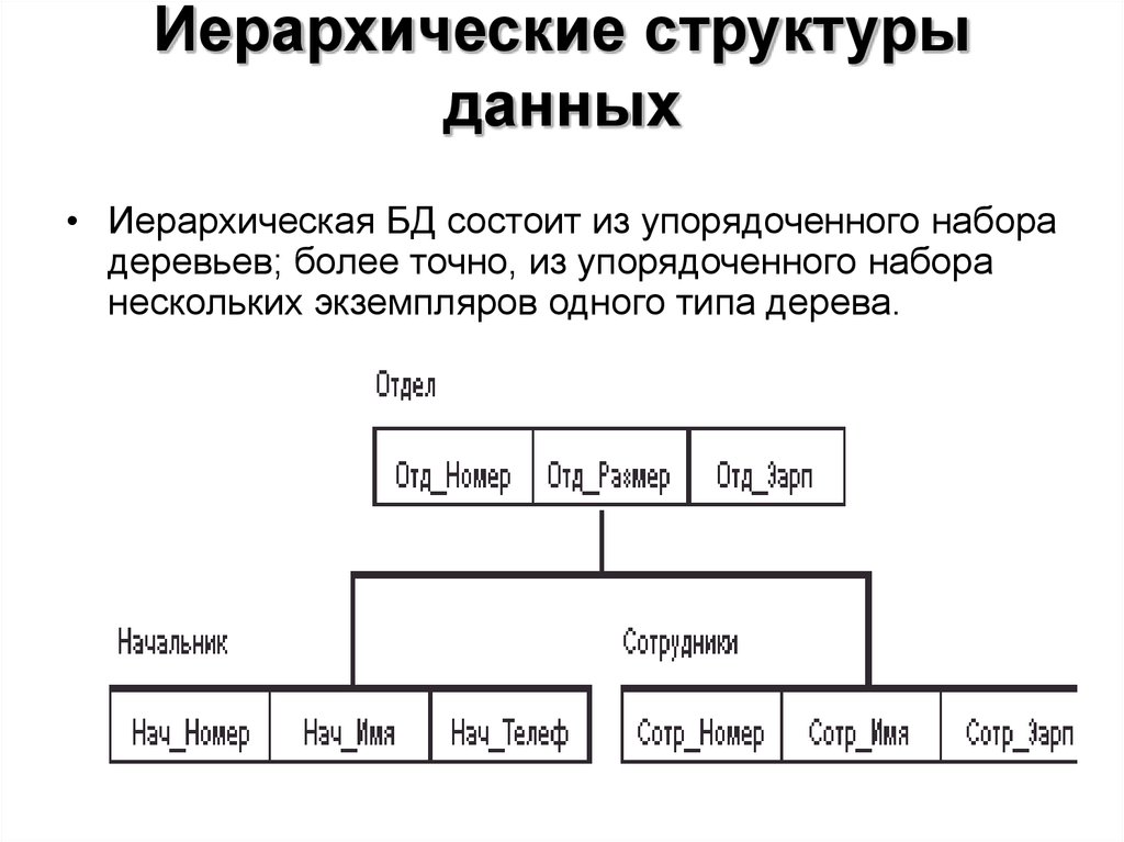 Иерархическая структура. Иерархическая структура базы данных. Структура иерархических баз данных. Иерархические структуры данных базы данных. Представление данных с помощью иерархической структуры.