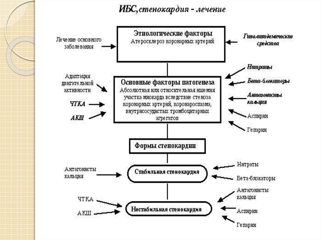 Стенокардия презентация терапия