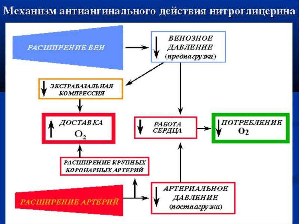 Расширение коронарных артерий нитроглицерин. Механизм антиангинального действия. Механизм нитроглицерина. Влияние нитроглицерина на давление. Нитроглицерин механизм действия.