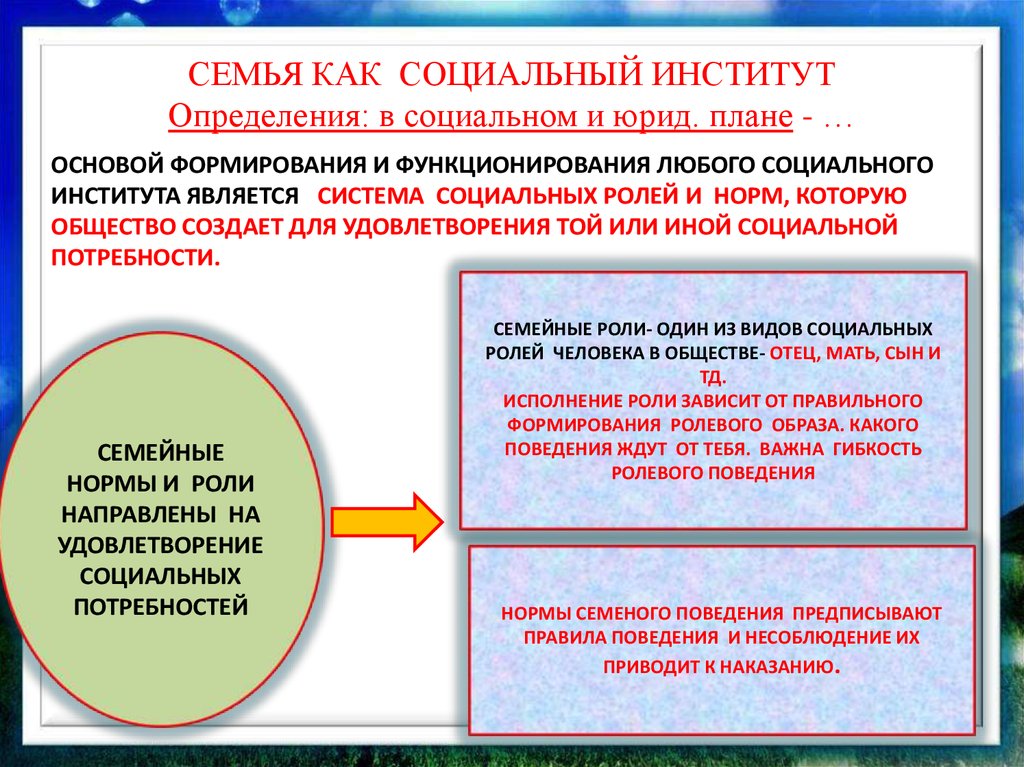 Проект на тему семейные правоотношения