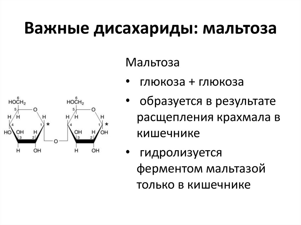 Что относится к дисахаридам