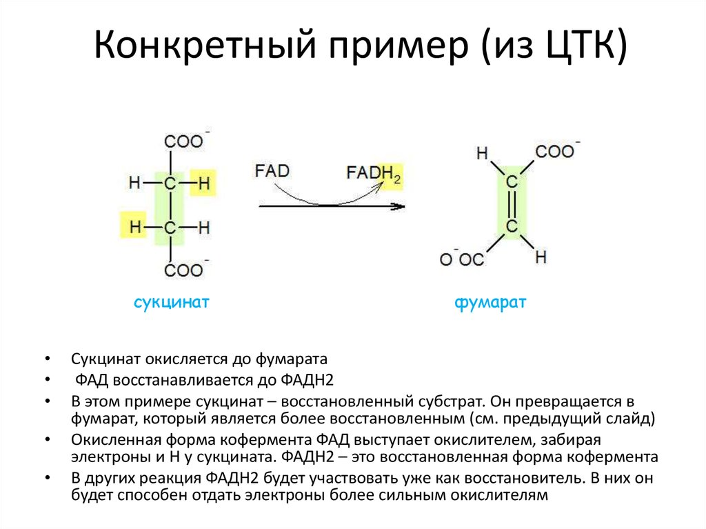 На конкретном примере раскройте. Сукцинат ФАД фумарат фадн2. Надн2 и фадн2. Реакция восстановления фадн2. Сукцинат ФАД фумарат фадн2 окислитель.