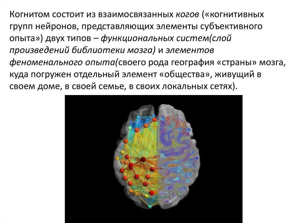 Основная цель проекта коннектом человека