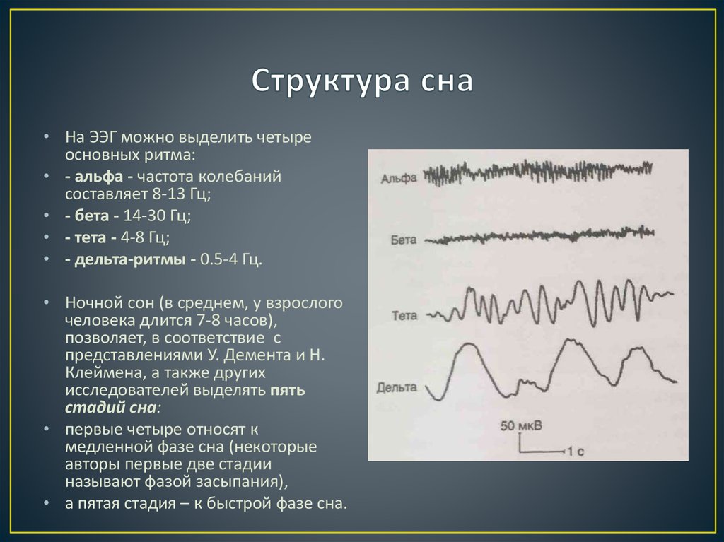 Структурная схема ээг