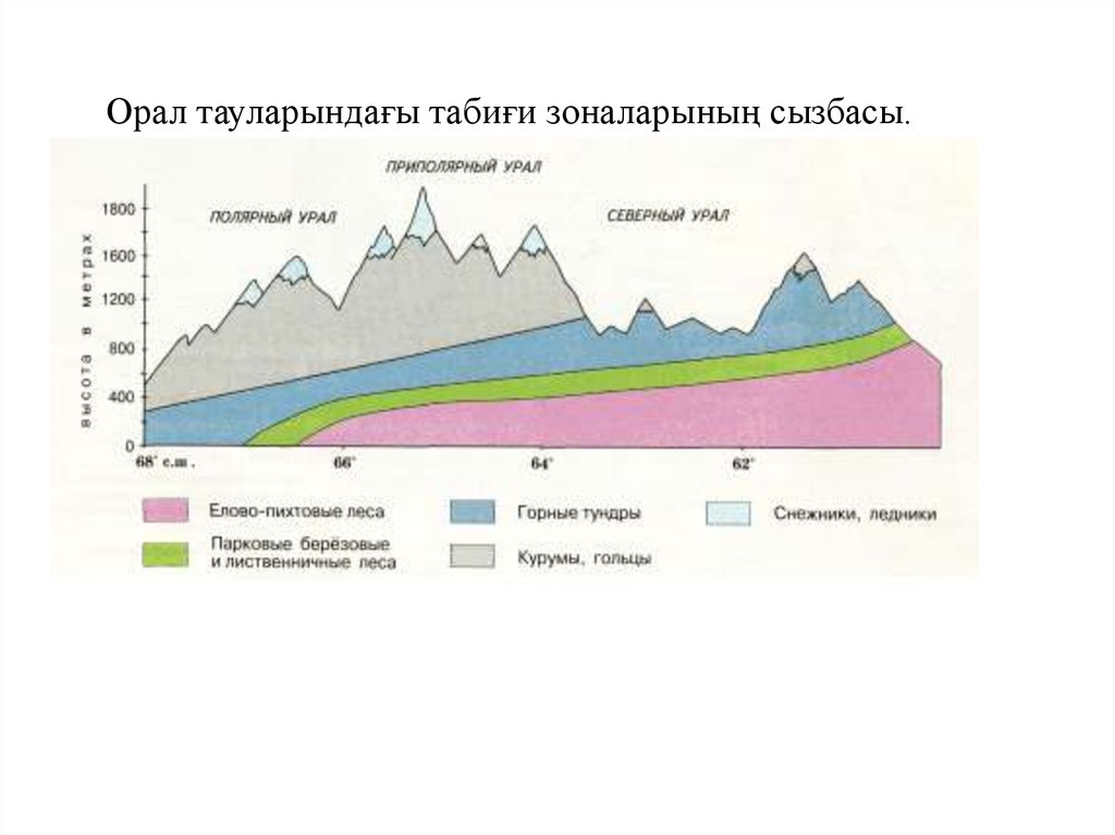 Природные зоны кавказа и урала. Уральские горы Высотная поясность. Высотная поясность уральских гор гор. Высотная поясность в горах Урала. Высокая пояность уральских гор.