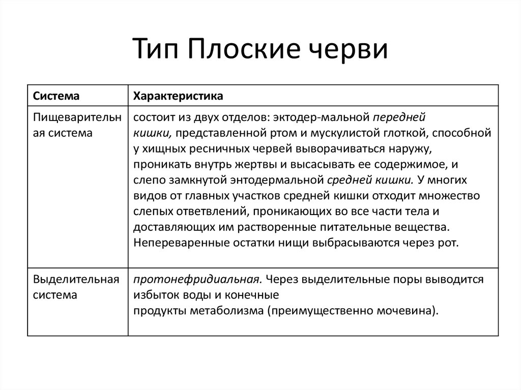 Характеристика типа плоские черви