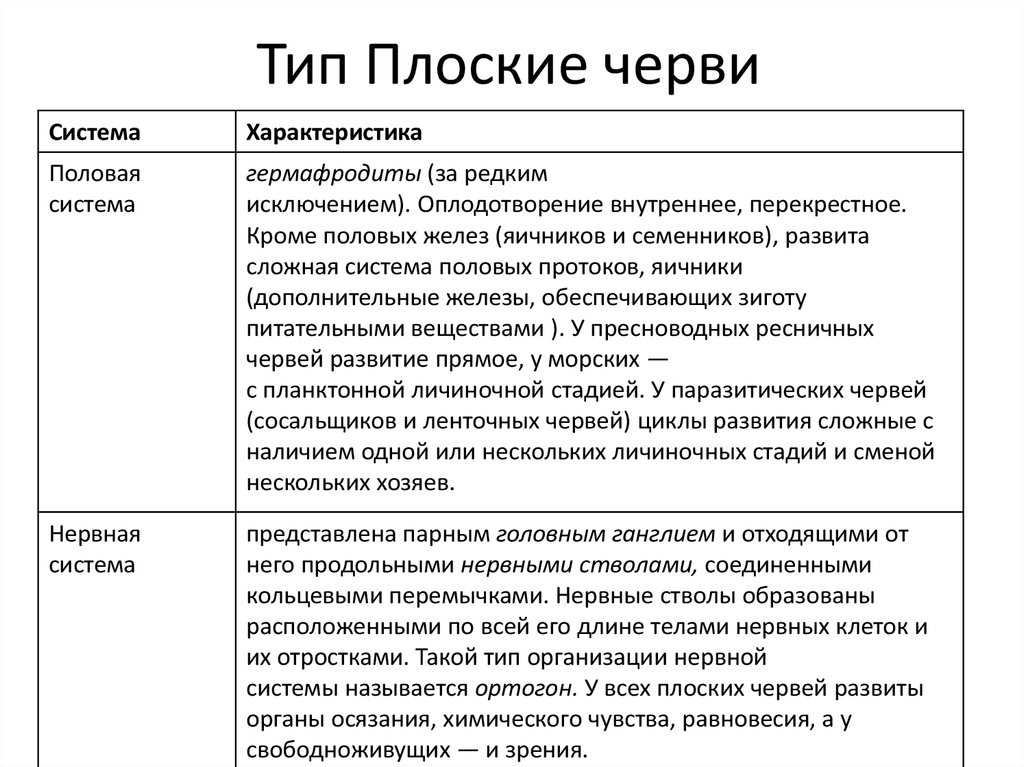 Система органов плоских червей таблица