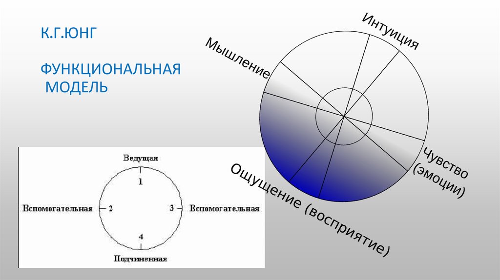 Классификация юнга. Психологические функции по Юнгу. Типология Юнга. Ведущая функция по Юнгу. 4 Психические функции по Юнгу.