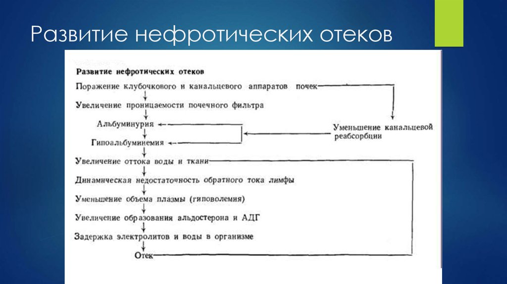 Отеки патофизиология презентация