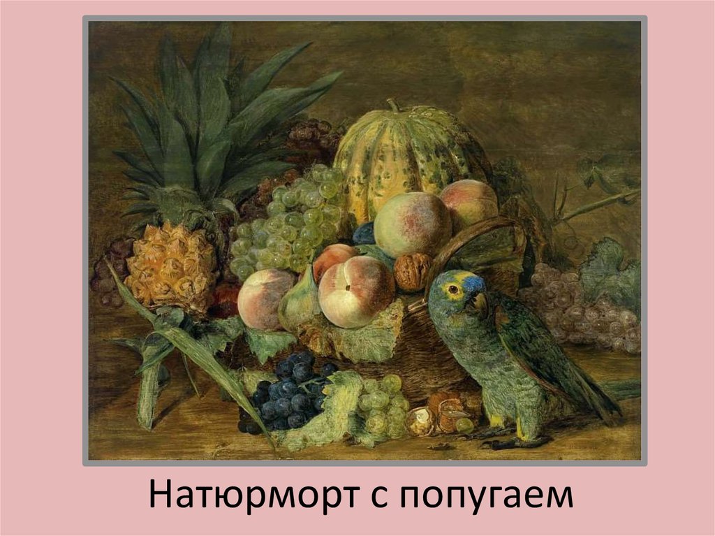 Натюрморт с попугаем