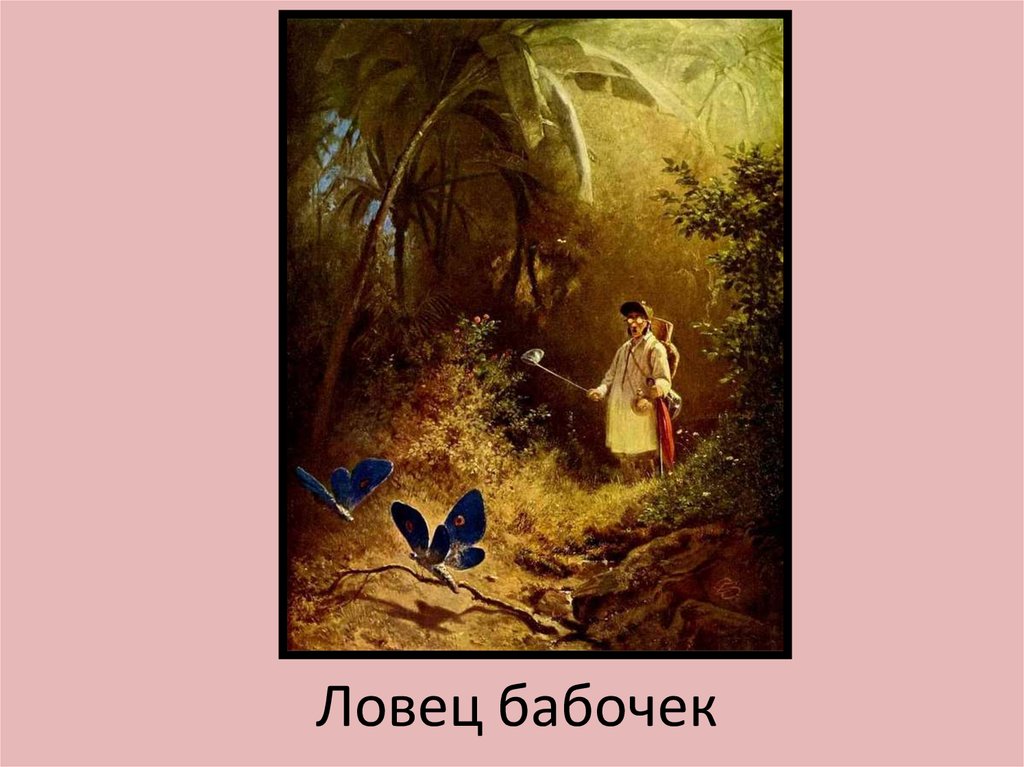 Ловец бабочек