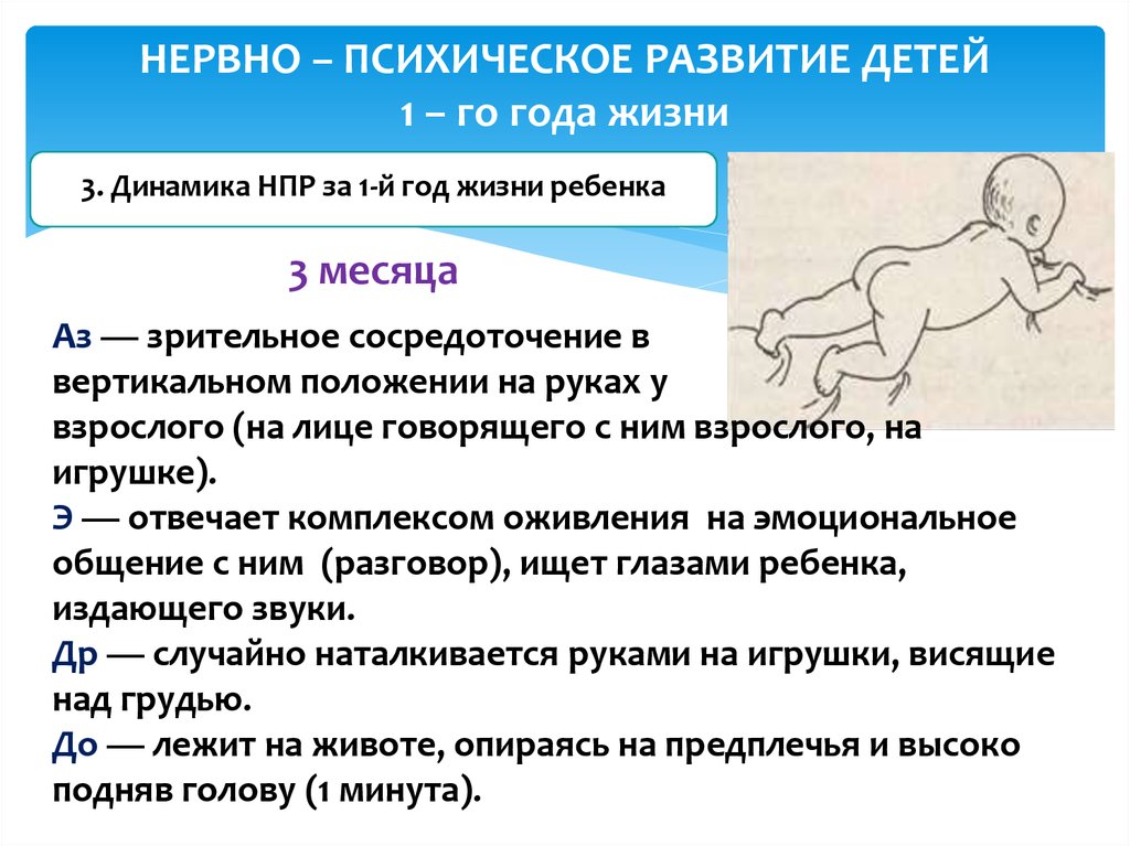 Что должен уметь ребенок в 4 месяцев. Этапы развития грудного ребенка. НПР развитие ребенка. НПР ребенка до года по месяцам. Нервно-психическое развитие детей 1 года жизни.