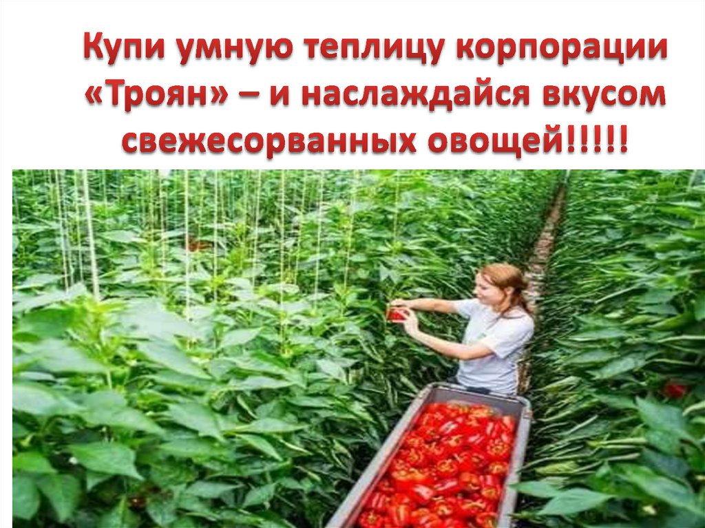 Купи умную теплицу корпорации «Троян» – и наслаждайся вкусом свежесорванных овощей!!!!!