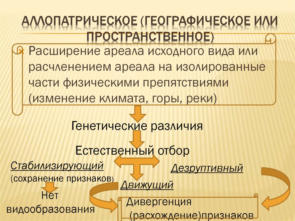 Может происходить при расширении ареала. Расширение ареала. Аллопатрическое географическое или пространственное. Расширение ареала видообразование.