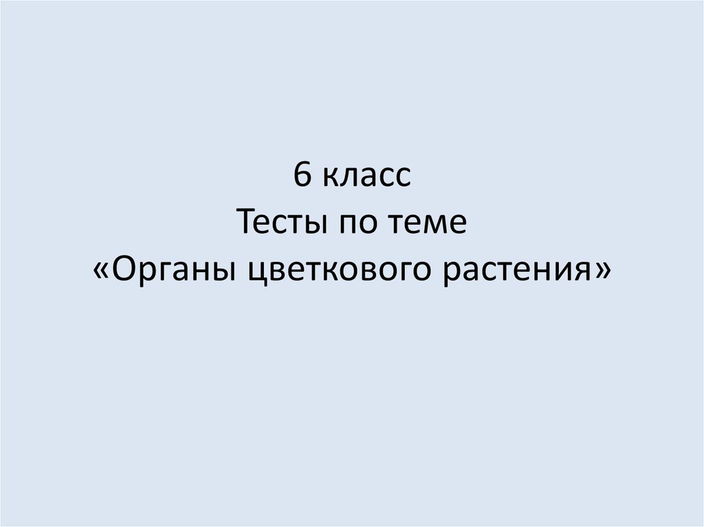 Презентация 6 класс тест