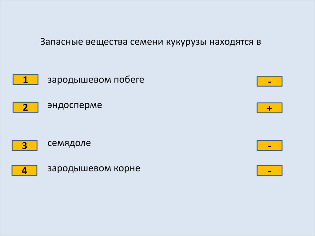 Почему цветковое относят к высшим растениям. Тест по биологии 7 класс органы цветковых растений. Контрольная работа по теме органы цветковых растений 6 класс.