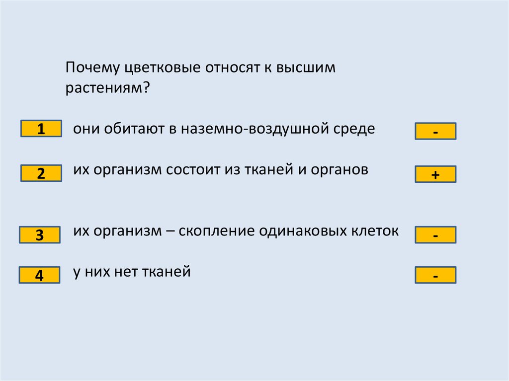 Почему цветковые. Почему цветковые относятся к высшим растениям. Почему цветковые относят к высшим растениям. Почему растения относятся к высшим Цветковым растениям. Почему их относят к высшим растениям.