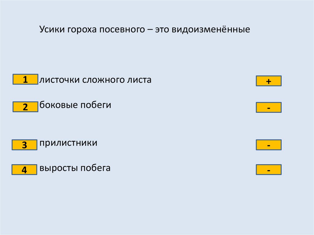 Тесты органы цветковых растений. Тестовая проверочная работа по теме органы цветковых растений 6 класс.