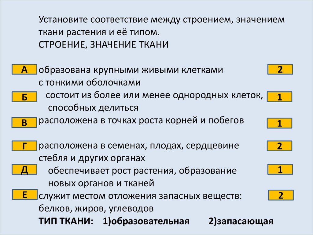 Установите соответствие между видом ткани. Установите соответствие между строением значением ткани и ее типом. Установите соответствие между тканями. Установит соответствие между типом и тканью. Установите в соответствие ткани.