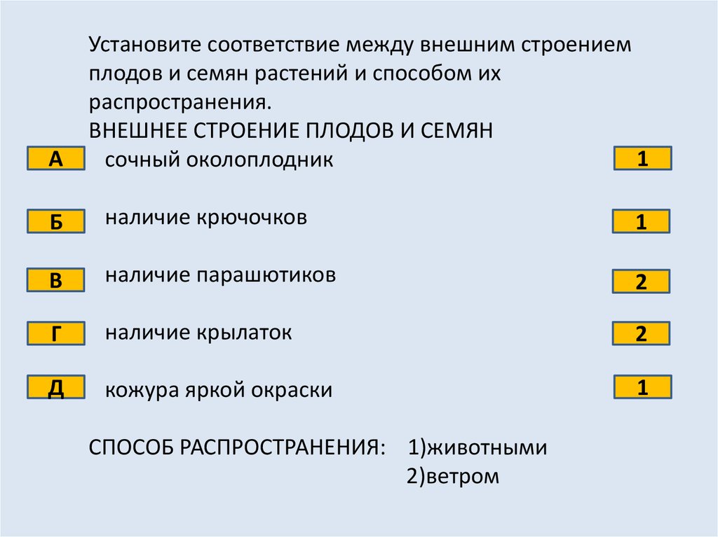 Установите соответствие между характеристиками и структурами эмбриона обозначенными цифрами на схеме