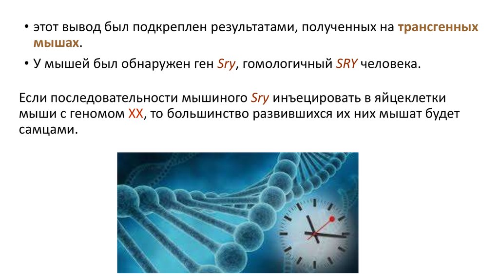 Картирование хромосом человека презентация 10 класс