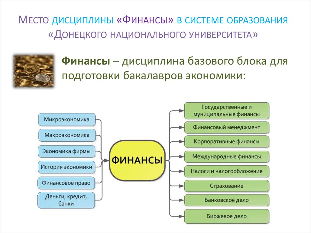 Место дисциплины «Финансы» в системе образования «Донецкого национального университета»