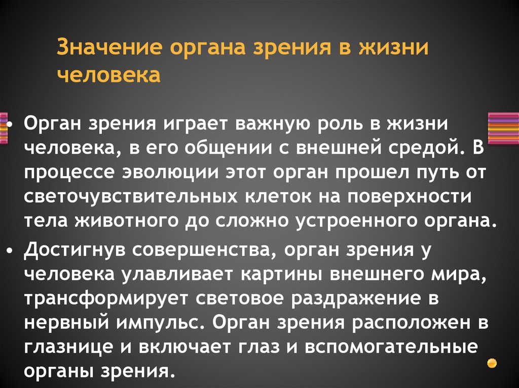 Значение органа зрения