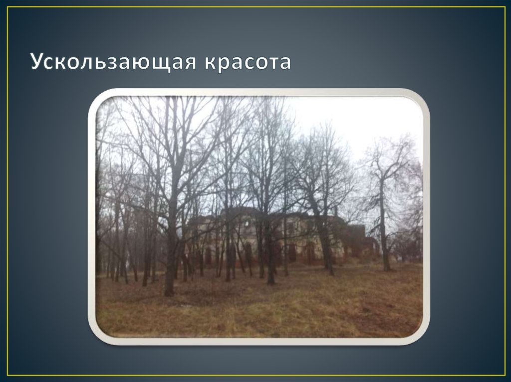 Ускользающая красота