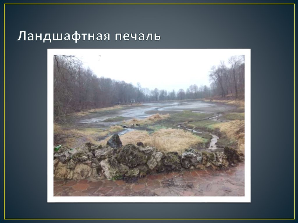 Ландшафтная печаль