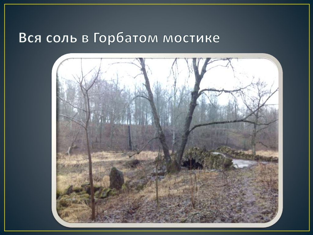 Вся соль в Горбатом мостике