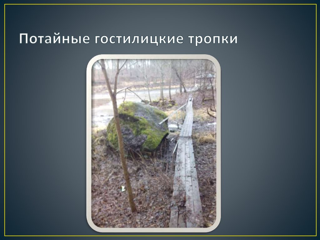 Потайные гостилицкие тропки