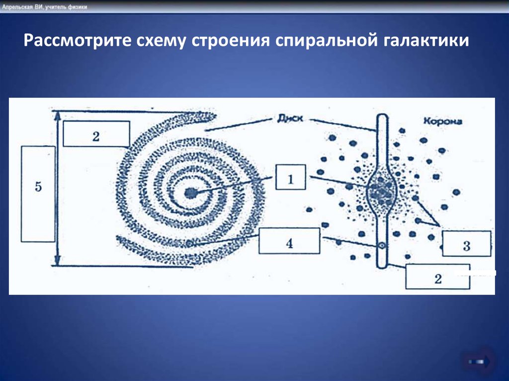 Рассмотрите структуру. Рассмотрите схему строения спиральной Галактики. Строение спиральной Галактики. Схема строения нашей спиральной Галактики. Спиралевидная Галактика схема.