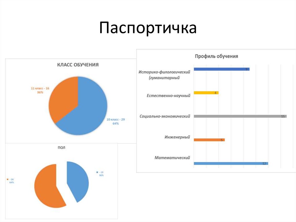 Паспортичка